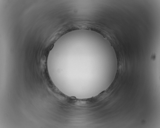 X0000113930332200909250922