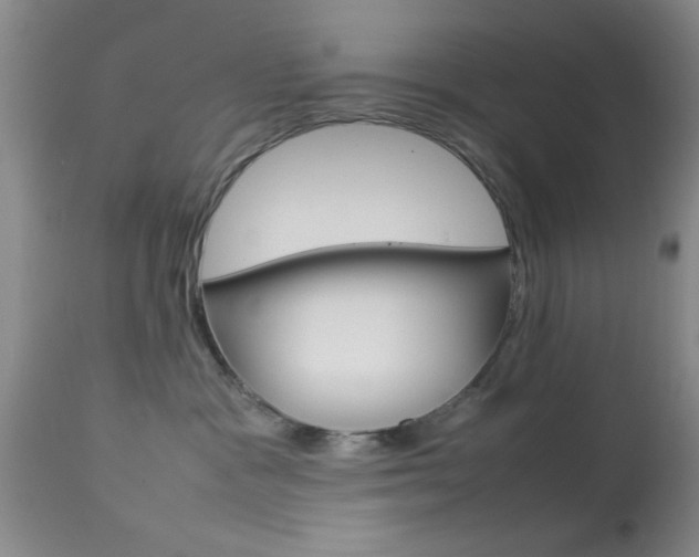 X0000113930333200909250922