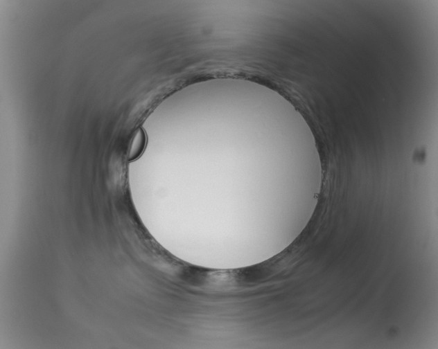 X0000113930335200909250922