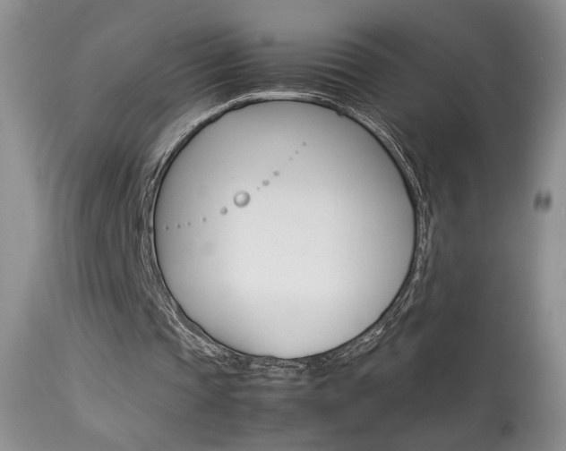 X0000113930337200909250921