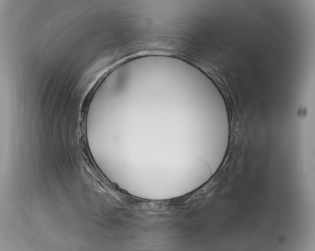 X0000113930338200909250921