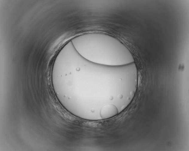 X0000113930339200909250921