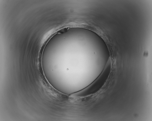 X0000113930340200909250921