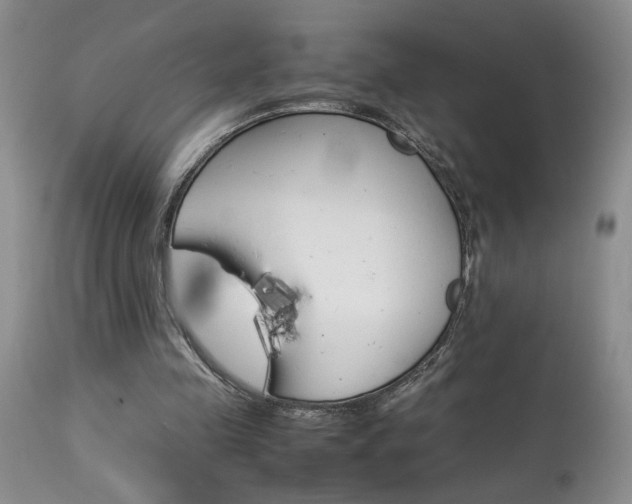 X0000113930341200909250921