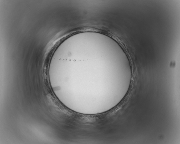 X0000113930343200909250921