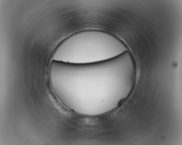 X0000113930345200909250921