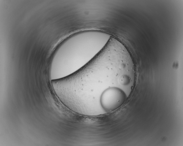 X0000113930346200909250921
