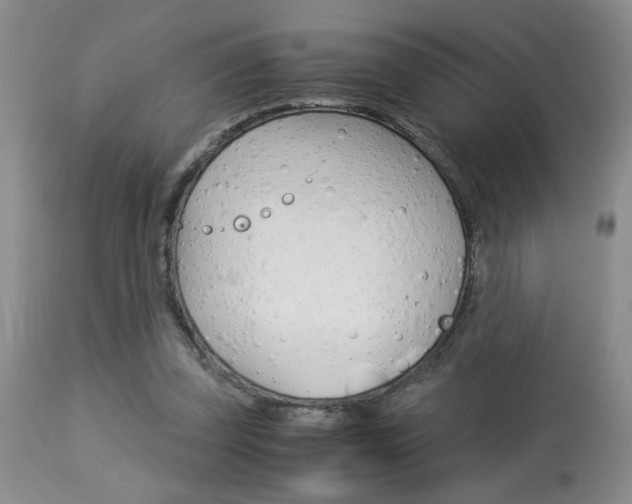 X0000113930347200909250921