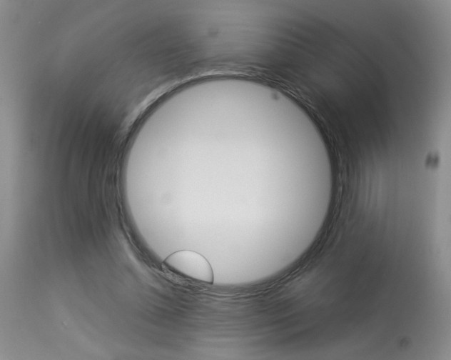 X0000113930348200909250921