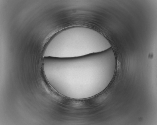 X0000113930349200909250921