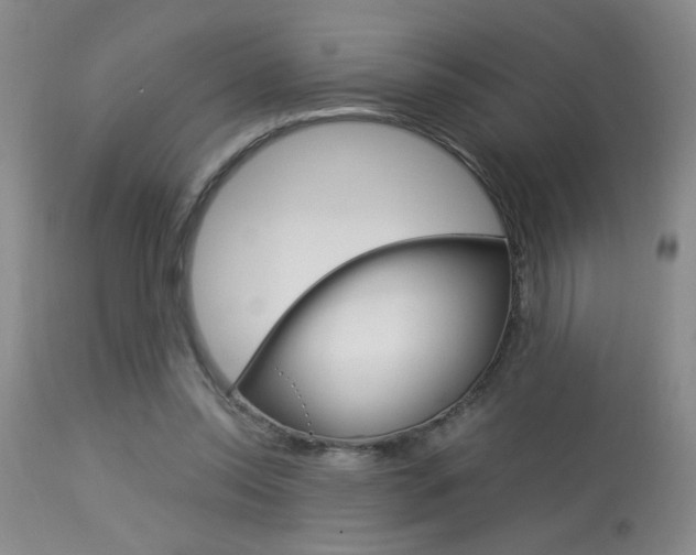X0000113930350200909250921