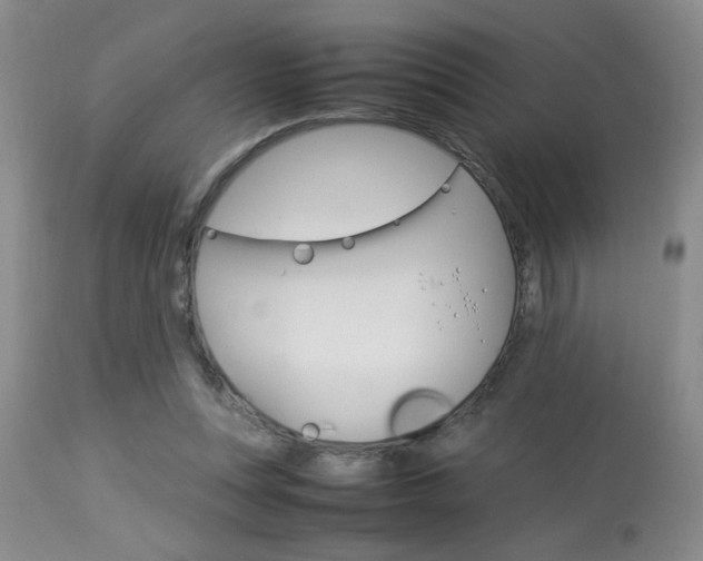 X0000113930351200909250921