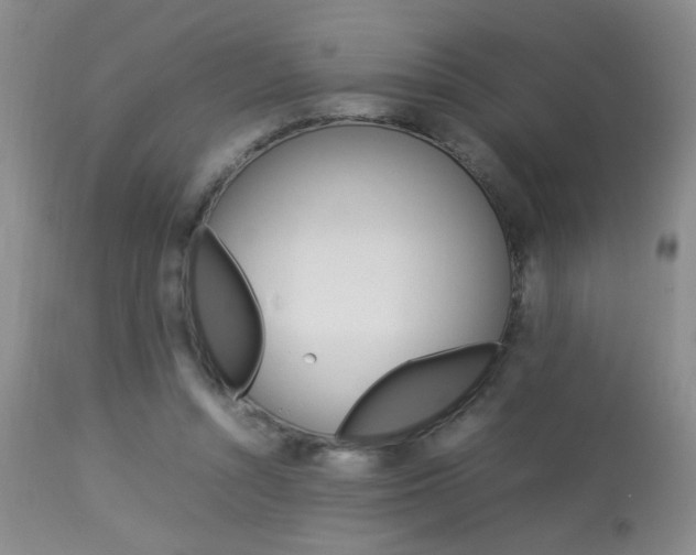 X0000113930352200909250921