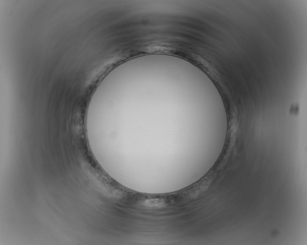 X0000113930353200909250921