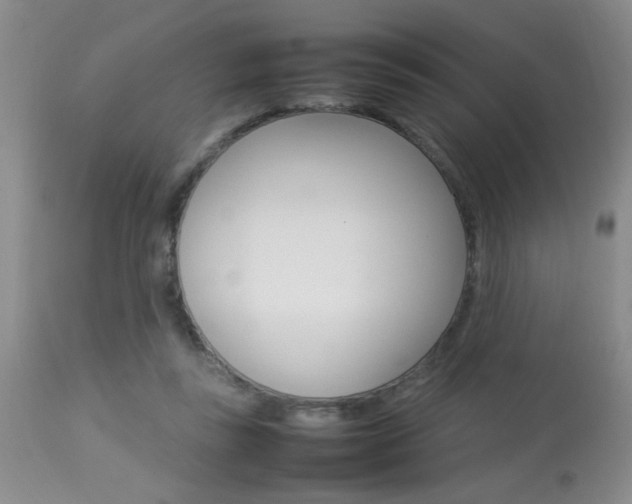 X0000113930355200909250921