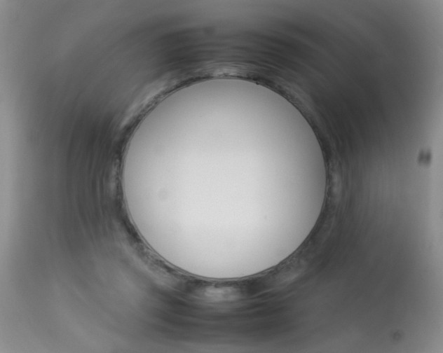 X0000113930357200909250921