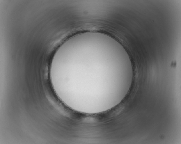 X0000113930358200909250921