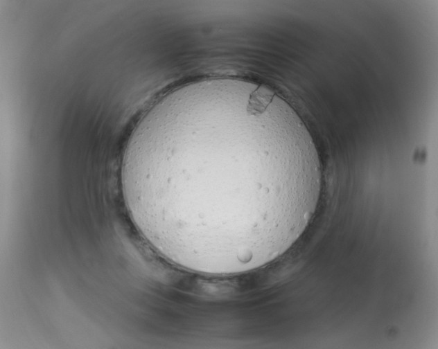 X0000113930359200909250921