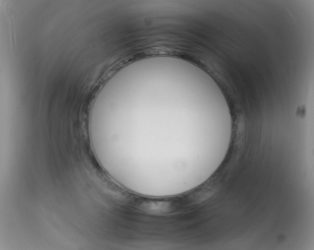 X0000113930361200909250921