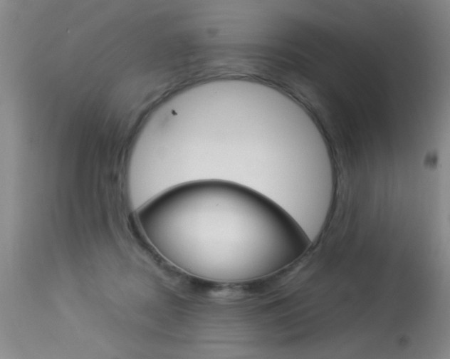 X0000113930362200909250921
