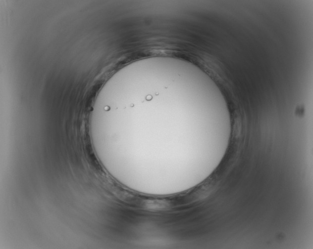 X0000113930363200909250921
