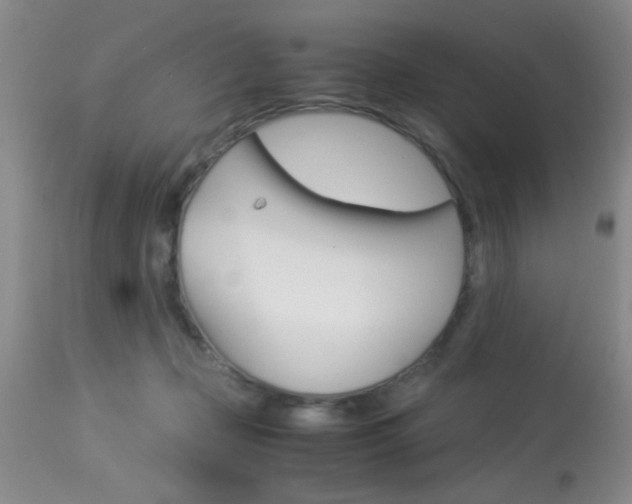 X0000113930365200909250921