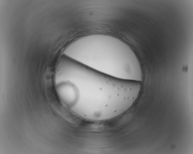 X0000113930366200909250921