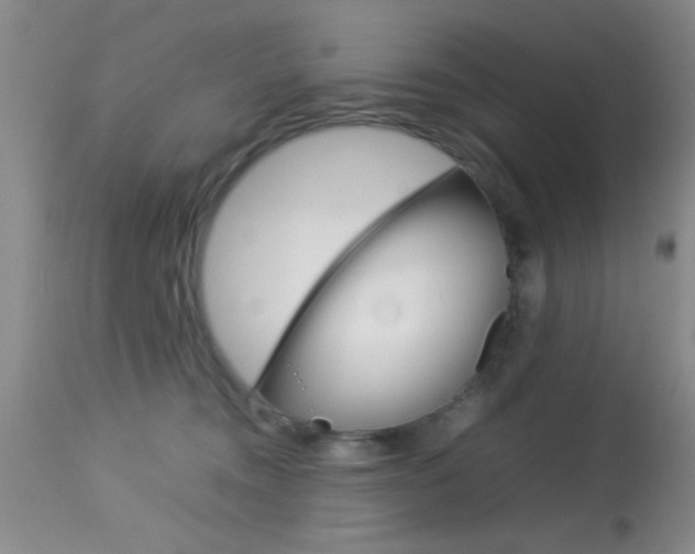 X0000113930372200909250921