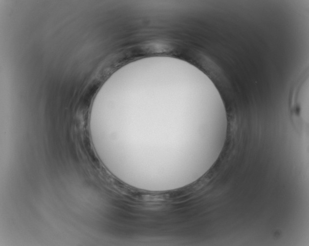 X0000113930373200909250921