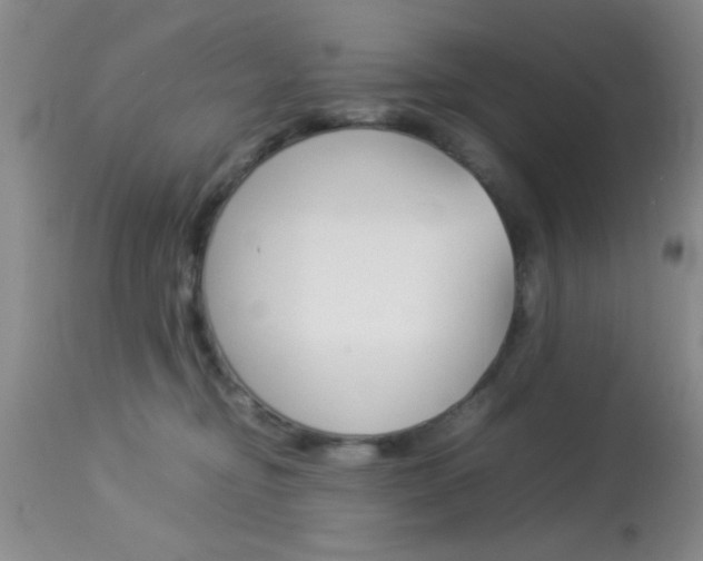 X0000113930374200909250921