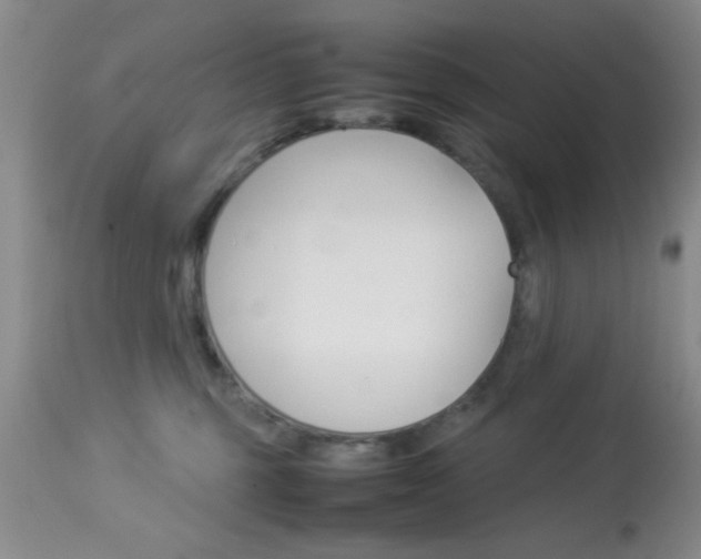 X0000113930375200909250921