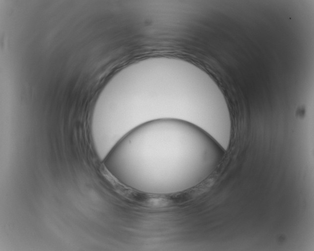 X0000113930376200909250921