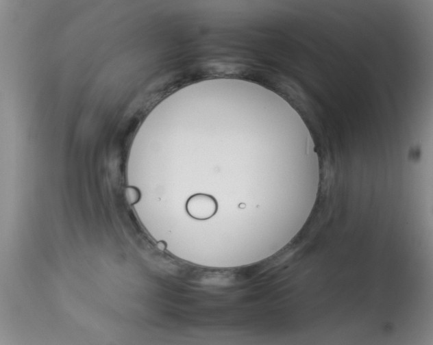 X0000113930377200909250921