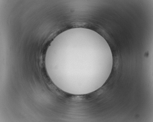 X0000113930378200909250921