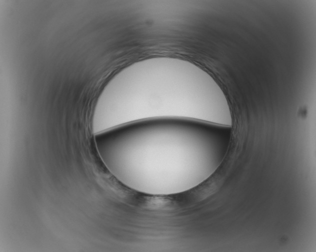 X0000113930380200909250921