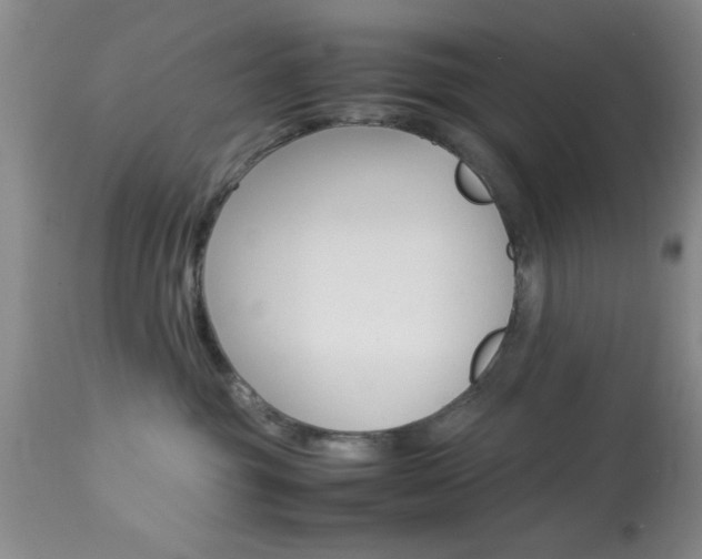 X0000113930381200909250921