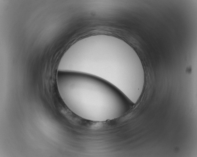 X0000113930382200909250922