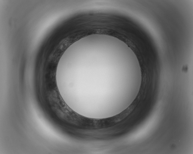 X0000113930383200909250922