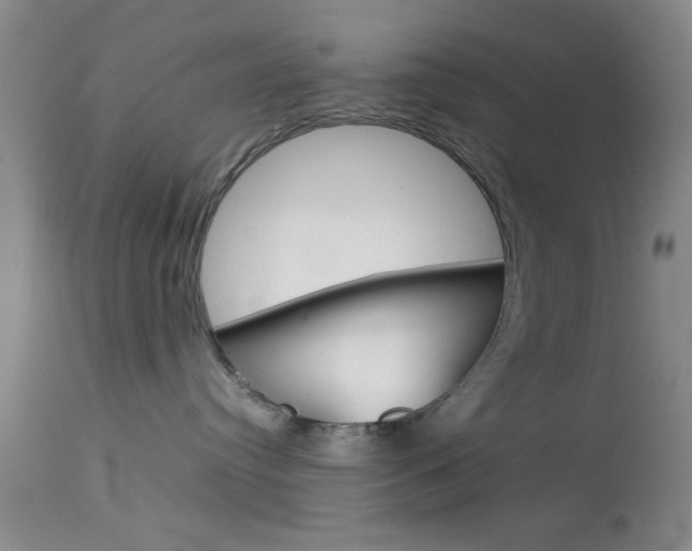 X0000113930384200909250922