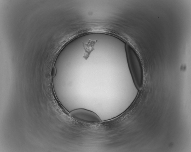 X0000113930385200909250921