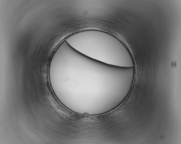 X0000113930386200909250921