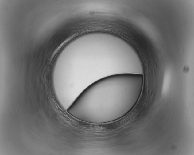 X0000113930387200909250921