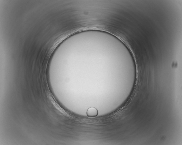 X0000113930389200909250921