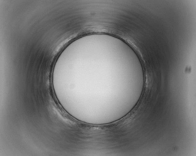 X0000113930390200909250921