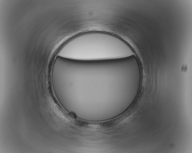 X0000113930391200909250921