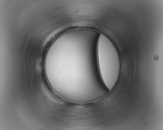 X0000113930392200909250921