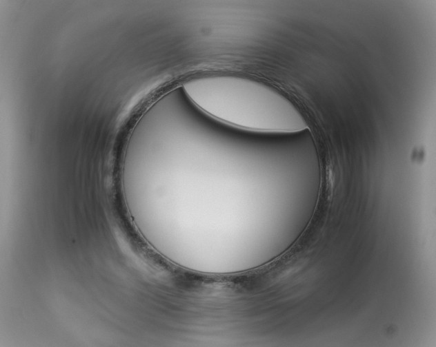 X0000113930396200909250921