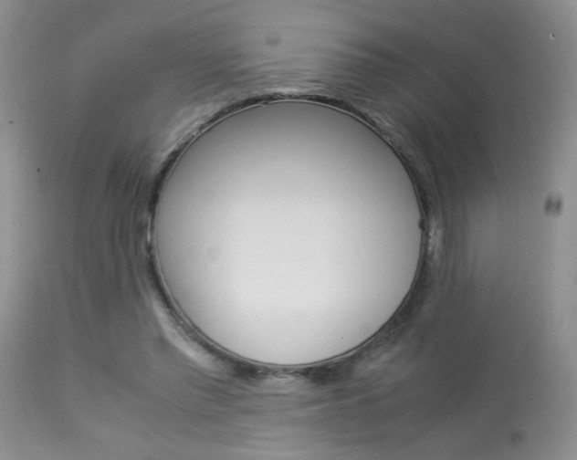 X0000113930397200909250921