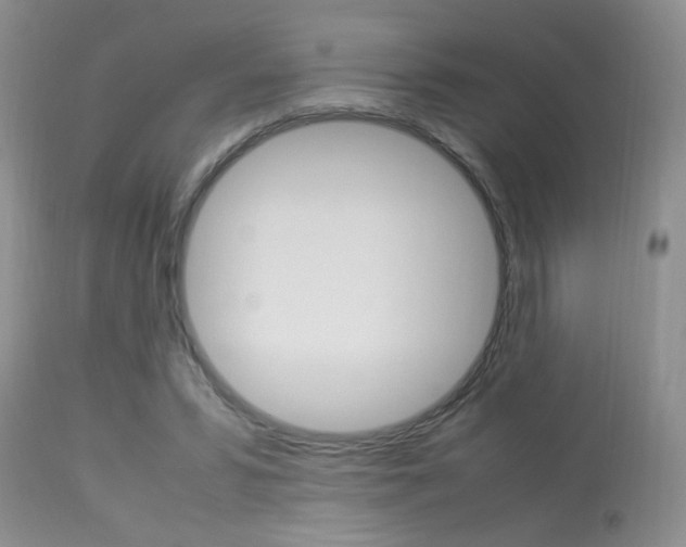 X0000113930399200909250921