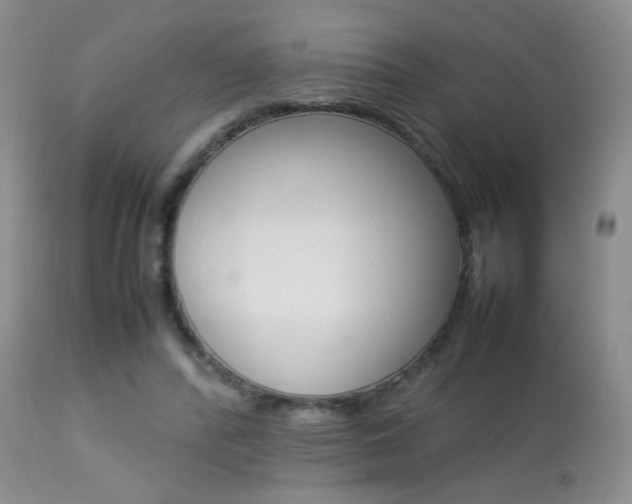 X0000113930400200909250921